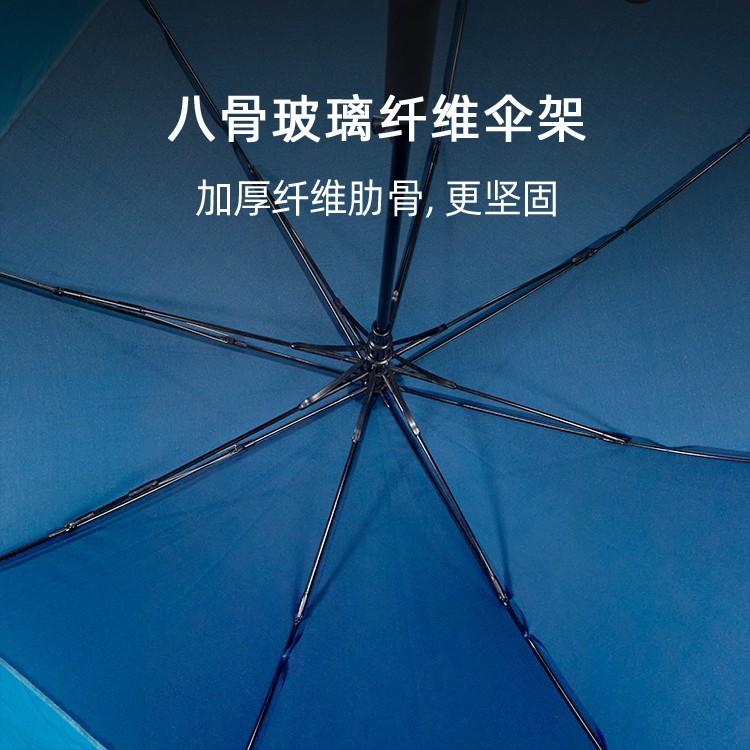 产品详情页-2099-桃子网站在线观看开防风双层伞-中文_02